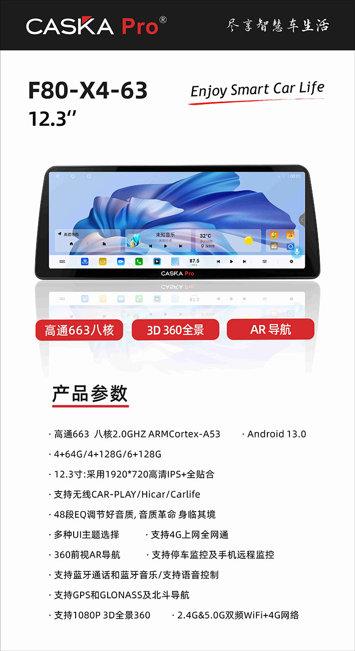 CASKA-PRO-F80-X4-63-12.3寸.jpg