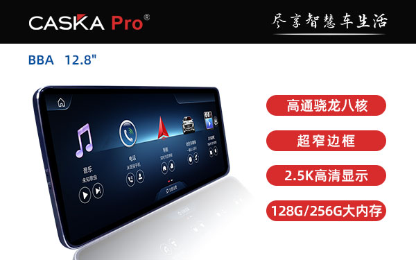 PRO BBA 12.8