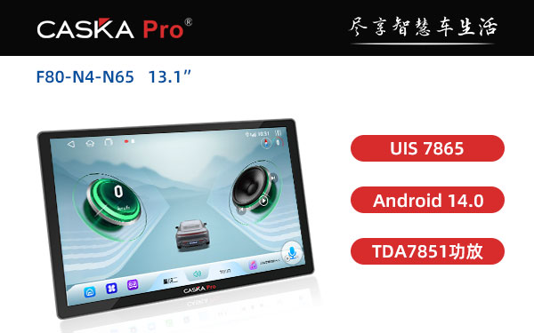 F80-N4-N65-13.1