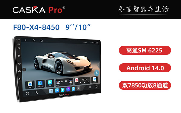 F80-X4-8450   9‘’/10”