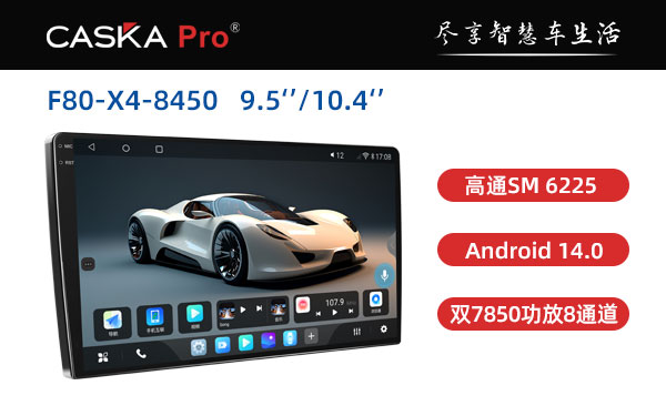 CASKA PRO F80-X4   9.5 10.4