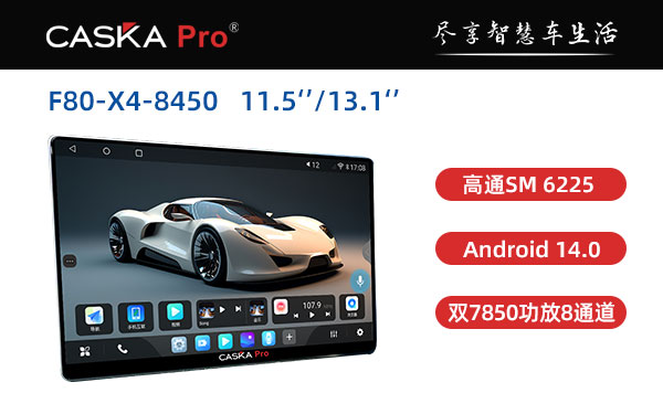 CASKA-PRO F80-X4 13.1  11.5