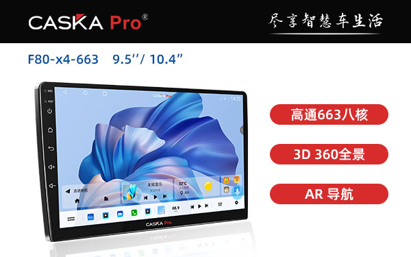 F80-X4-663 9.5 10.4